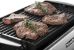Delonghi NEW 220v Grill & Griddle w/Temp Control 220/240 Volt for Europe/Asia