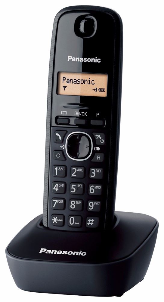Panasonic 220 Volt KX-TG1611FXH Cordless Phone 220V-240V Export